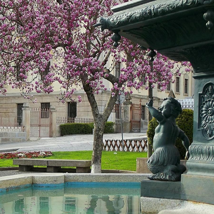 Appartamento Douro - A Casinha Da Ana Vila Real Esterno foto