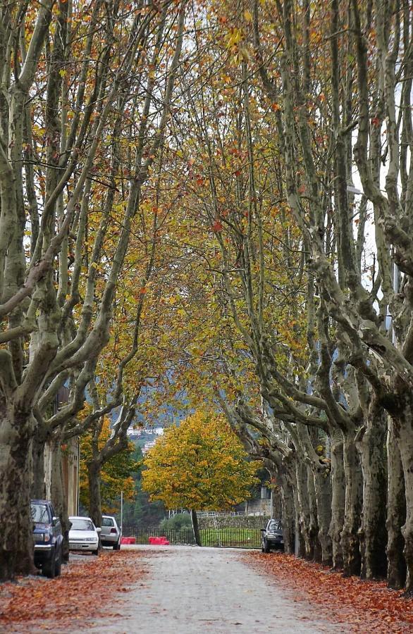 Appartamento Douro - A Casinha Da Ana Vila Real Esterno foto