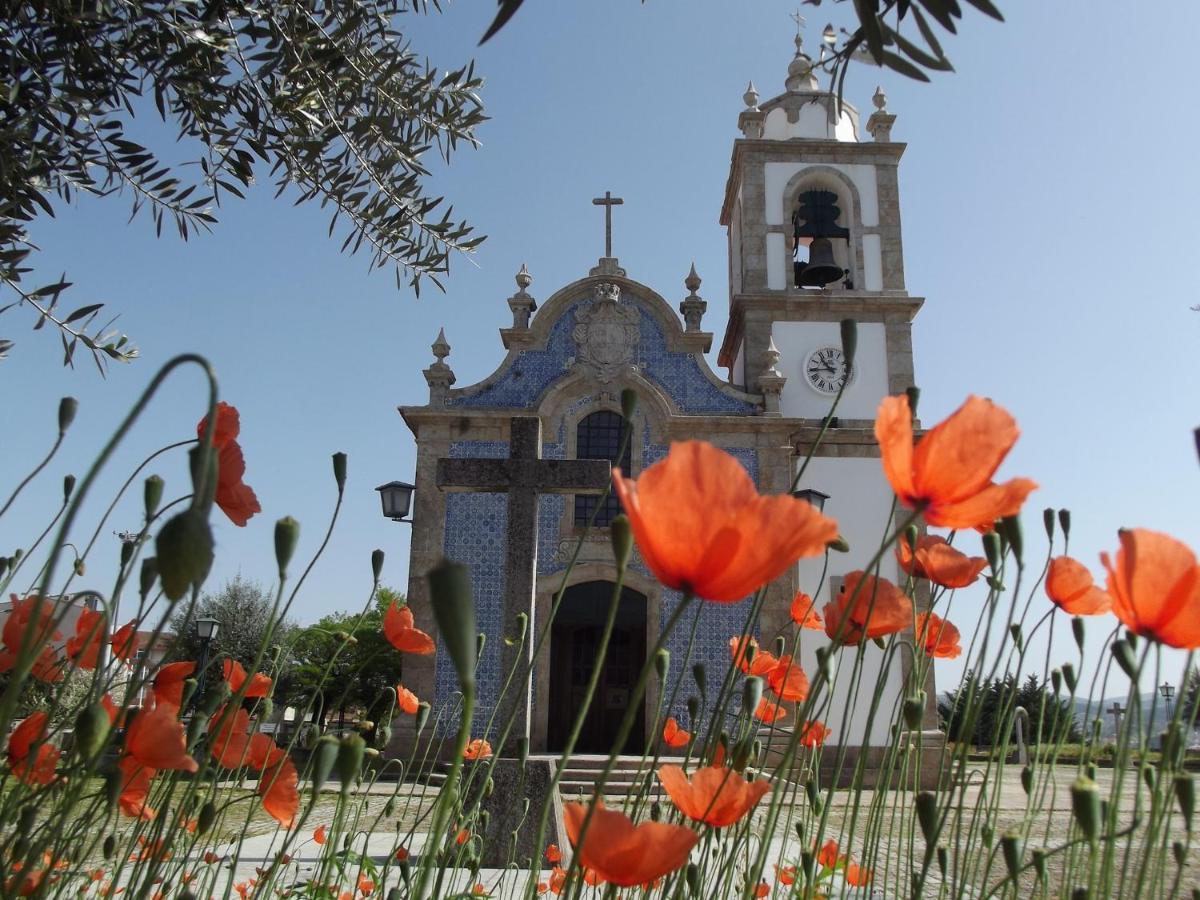 Appartamento Douro - A Casinha Da Ana Vila Real Esterno foto